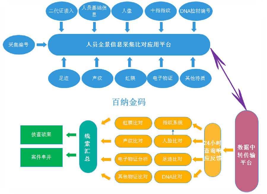 900宽图片4.jpg